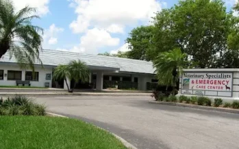 Tampa Bay Veterinary Specialists