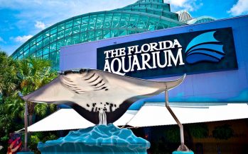 Tampa Bay Aquarium
