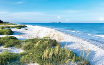 Beaches Near Tampa Bay
