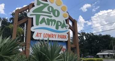 Tampa Bay Zoo